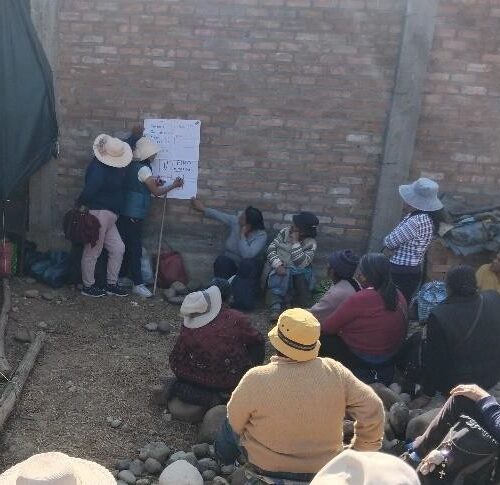 jauja8